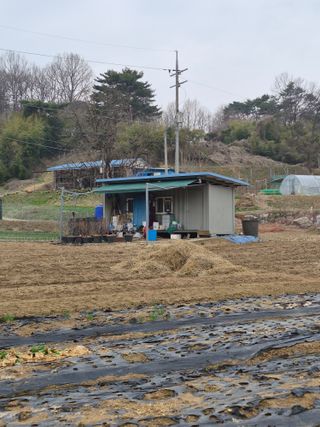 Kns4324님의 자유주제 · 자유게시판 작성글 사진