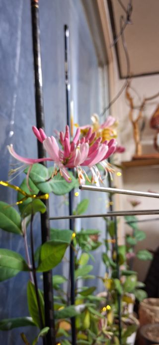 우철님의 자유주제 · 자유게시판 작성글 사진