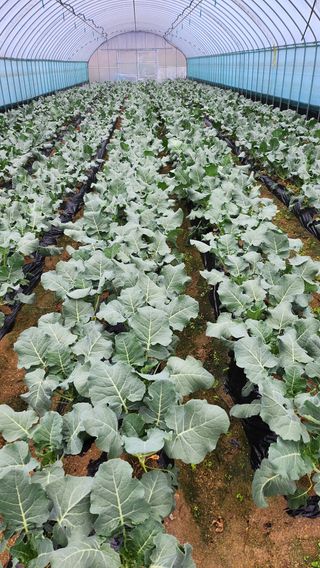 박기철님의 자유주제·자유게시판 작성글 사진