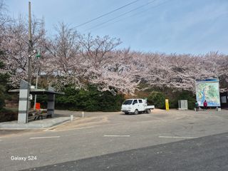 사천시향촌동 돼지띠님의 자유주제 · 자유게시판 작성글 사진