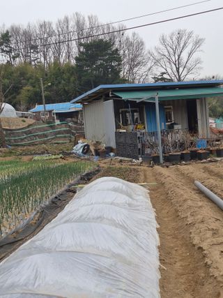 Kns4324님의 자유주제 · 자유게시판 작성글 사진