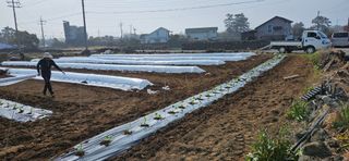 김화석님의 자유주제 · 자유게시판 작성글 사진