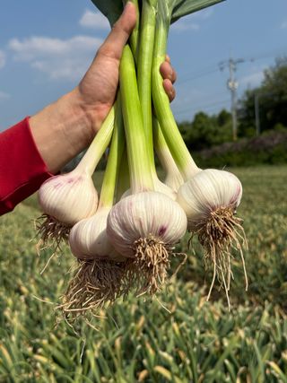 김태혁님의 작성글 사진