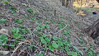 권혜전님의 자유주제 · 자유게시판 작성글 사진