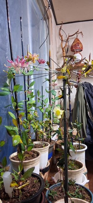 우철님의 자유주제 · 자유게시판 작성글 사진