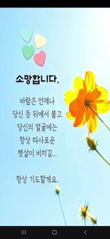 팜모닝 · 게시글 이미지