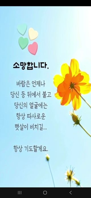 장송녀약초사랑농삿꾼님의 작성글 사진