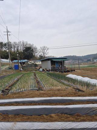 Kns4324님의 자유주제 · 자유게시판 작성글 사진