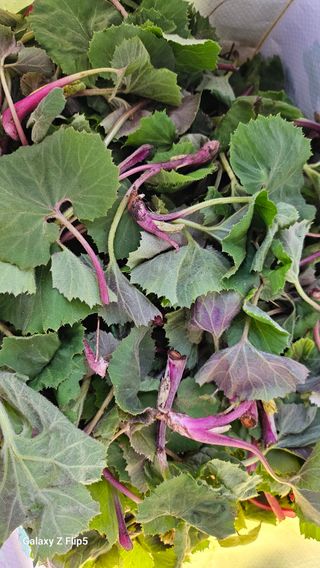 권혜전님의 자유주제 · 자유게시판 작성글 사진