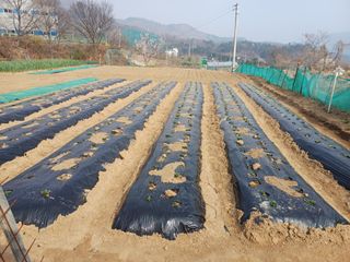 박정호님의 자유주제·자유게시판 작성글 사진