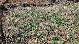 권혜전님의 자유주제 · 자유게시판 작성글 사진