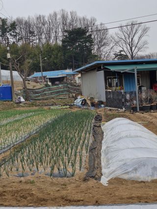 Kns4324님의 자유주제 · 자유게시판 작성글 사진