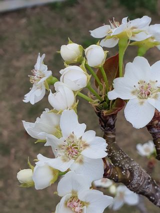 하나라도 소중하게님의 배 · 일상 작성글 사진