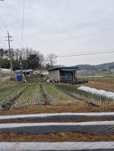 Kns4324님의 자유주제·자유게시판 작성글 사진