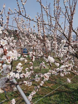 장준호님의 자유주제·자유게시판 작성글 사진