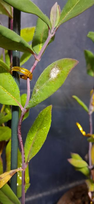 우철님의 자유주제 · 자유게시판 작성글 사진