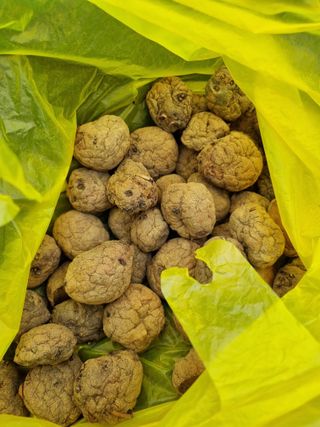 김경일 님의 자유주제 · 자유게시판 작성글 사진