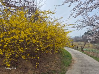 사천시향촌동 돼지띠님의 자유주제 · 자유게시판 작성글 사진