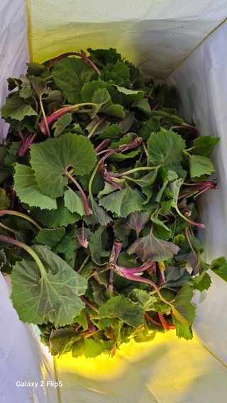 권혜전님의 자유주제 · 자유게시판 작성글 사진