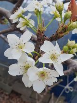 하나라도 소중하게님의 배·일상 작성글 사진