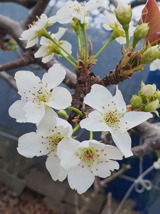 하나라도 소중하게님의 배 · 일상 작성글 사진