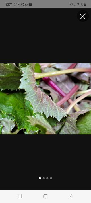 땅땅님의 기타작물 · 자유게시판 작성글 사진