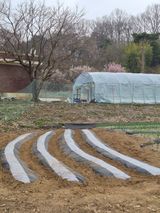 팜모닝 자유주제·자유게시판 게시글 이미지