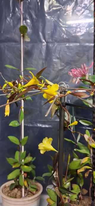 우철님의 자유주제 · 자유게시판 작성글 사진