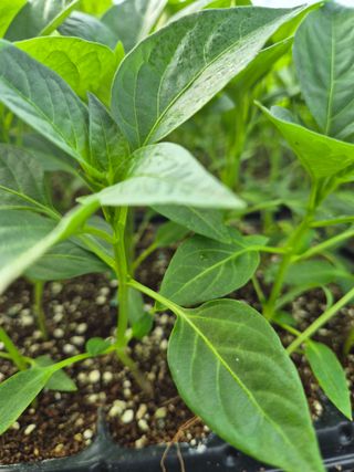 김영진(전남영광)님의 자유주제 · 자유게시판 작성글 사진