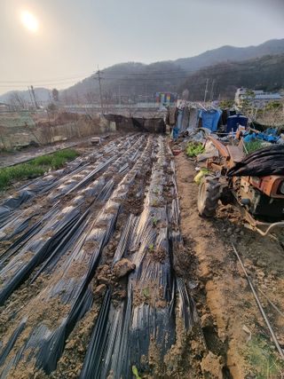 김경일 님의 자유주제 · 자유게시판 작성글 사진