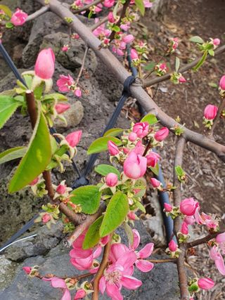 하나라도 소중하게님의 기타작물 · 자유게시판 작성글 사진