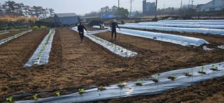 김화석님의 자유주제 · 자유게시판 작성글 사진