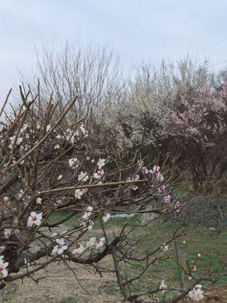 Kns4324님의 자유주제 · 자유게시판 작성글 사진