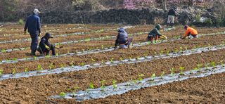 김화석님의 자유주제 · 자유게시판 작성글 사진