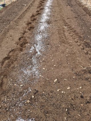 조경준님의 자유주제 · 자유게시판 작성글 사진