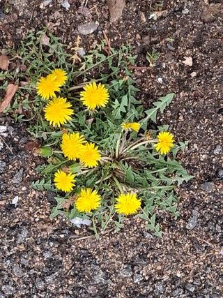 MSG0074님의 자유주제 · 자유게시판 작성글 사진