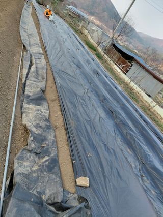 이박농장님의 자유주제 · 자유게시판 작성글 사진