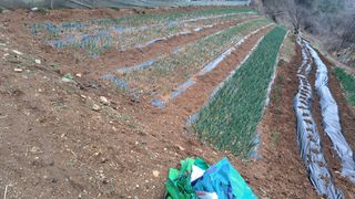 홍반장님의 자유주제·자유게시판 작성글 사진