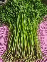 종일님의 자유주제·자유게시판 작성글 사진