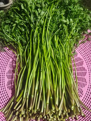 종일님의 자유주제 · 자유게시판 작성글 사진