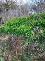 이장우님의 자유주제·자유게시판 작성글 사진