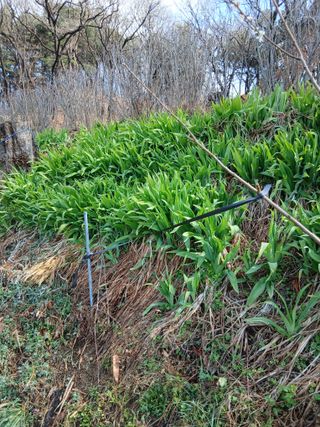 이장우님의 자유주제 · 자유게시판 작성글 사진