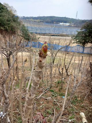전국하님의 자유주제 · 자유게시판 작성글 사진