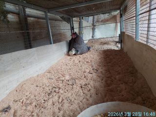 황대헌님의 자유주제 · 자유게시판 작성글 사진