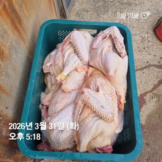 민들레님의 자유주제 · 자유게시판 작성글 사진