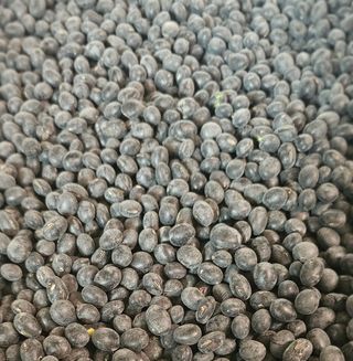 5도2촌님의 자유주제 · 자유게시판 작성글 사진