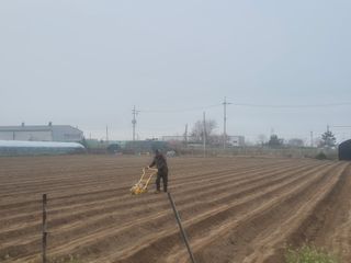 준영농장 출석왕.님의 자유주제·자유게시판 작성글 사진