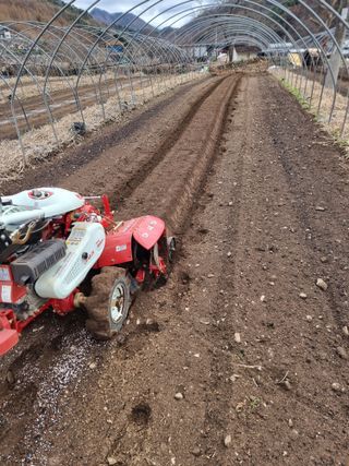 조경준님의 자유주제 · 자유게시판 작성글 사진