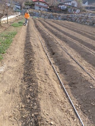 이박농장님의 자유주제 · 자유게시판 작성글 사진