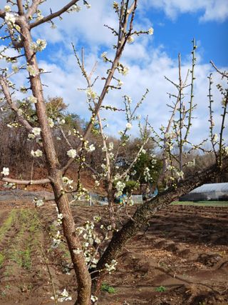 전국하님의 자유주제 · 자유게시판 작성글 사진
